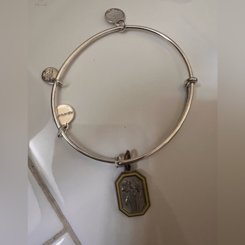 Alex and Ani blacelet